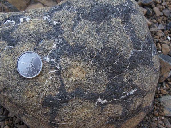 AntipodiformChromite&Olivine