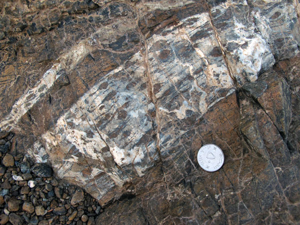 Gabbro-Deformed