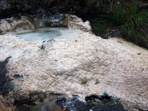 Travertine spring in the Cedars