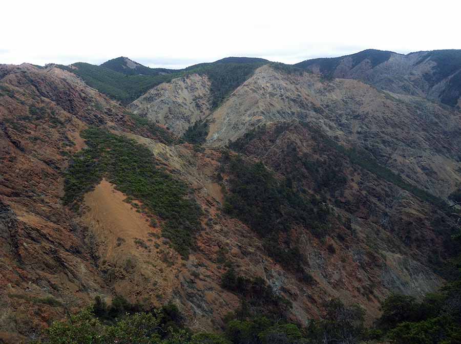 View of the Cedars Peridotite